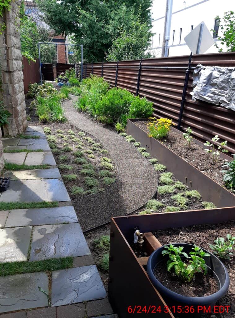 urban garden2024 06 24 15 15 33 547