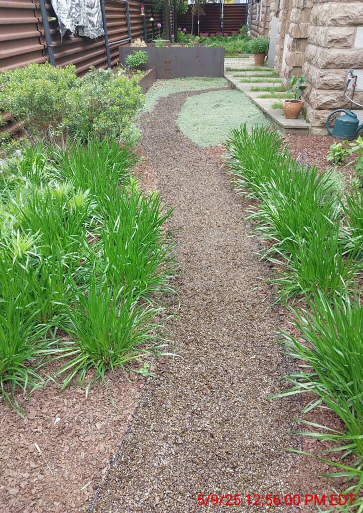 urban garden2025 05 09 12 55 59 297