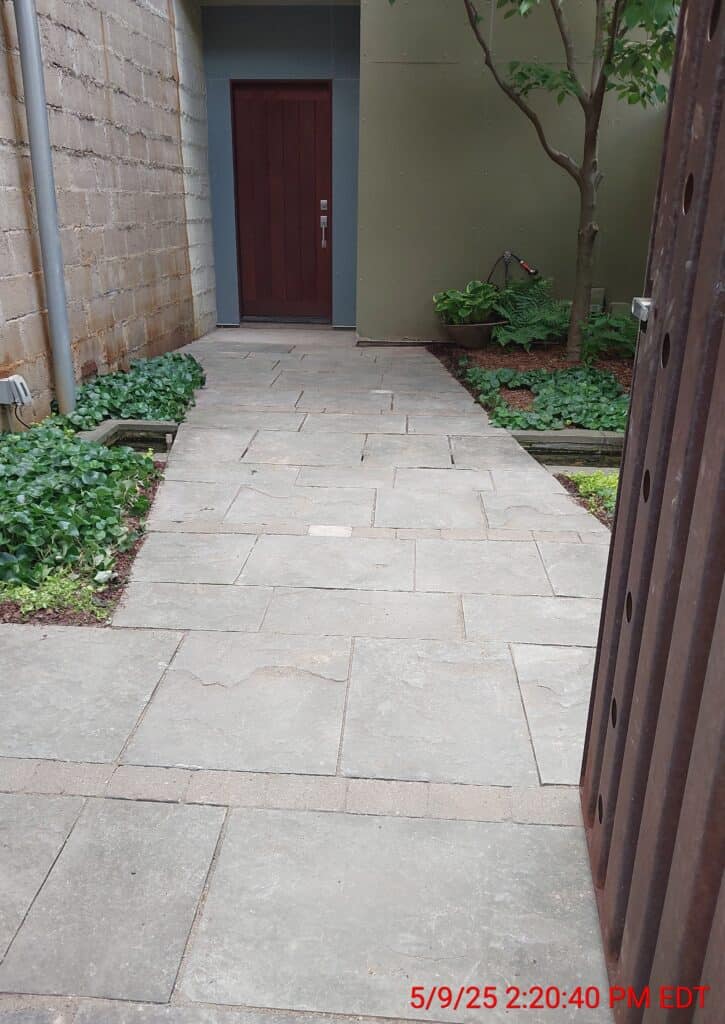 urban garden2025 05 09 14 20 38 215